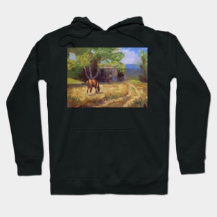 Quiet Grazing Horse Hoodie